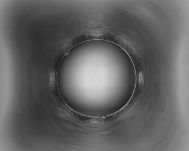 X0000115531299200911131457