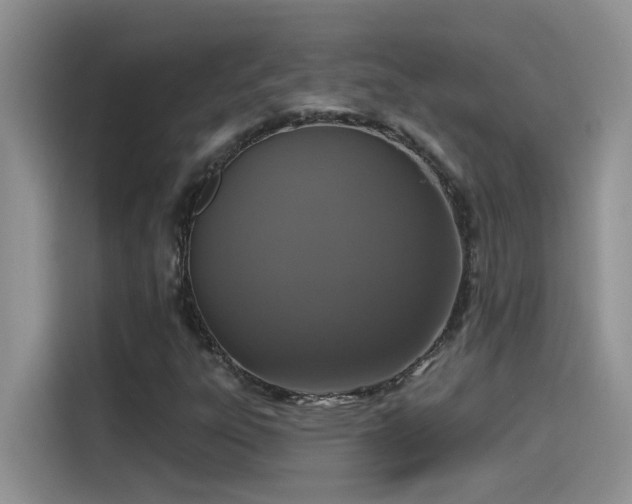 X0000115531303200911131457