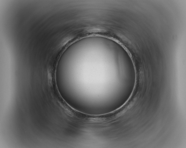 X0000115531305200911131457