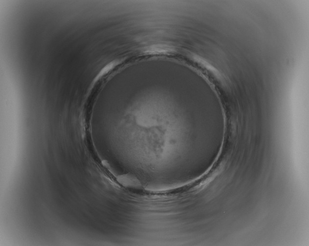 X0000115531306200911131457