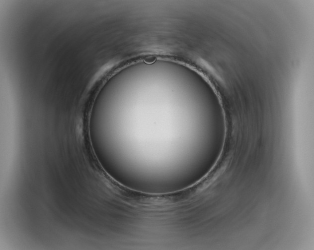 X0000115531307200911131457