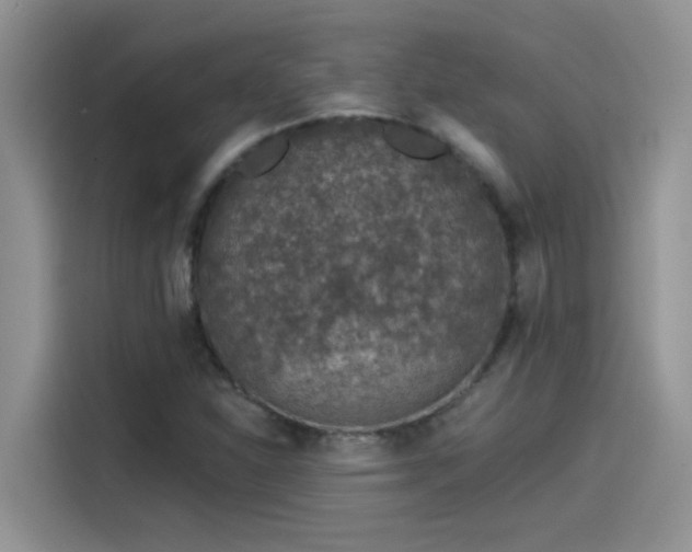 X0000115531310200911131457