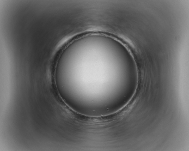 X0000115531311200911131457