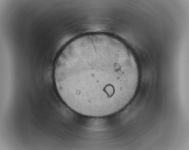 X0000115531314200911131457