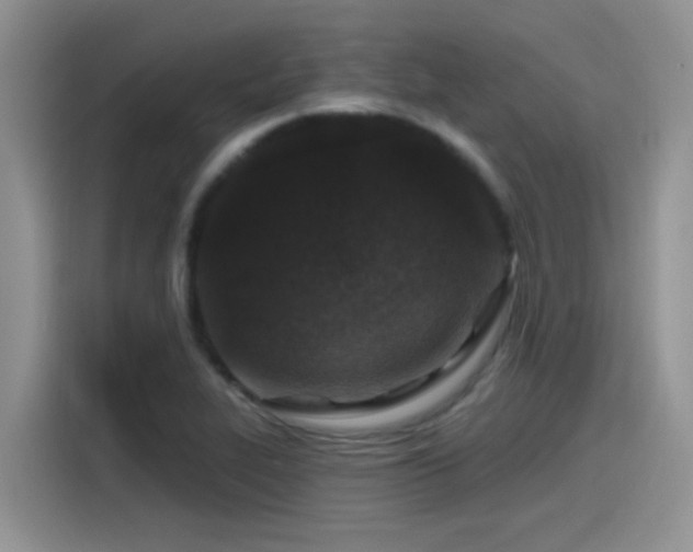 X0000115531319200911131457