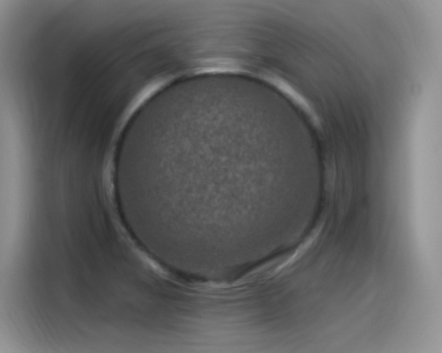 X0000115531325200911131457