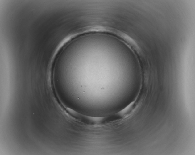 X0000115531326200911131457