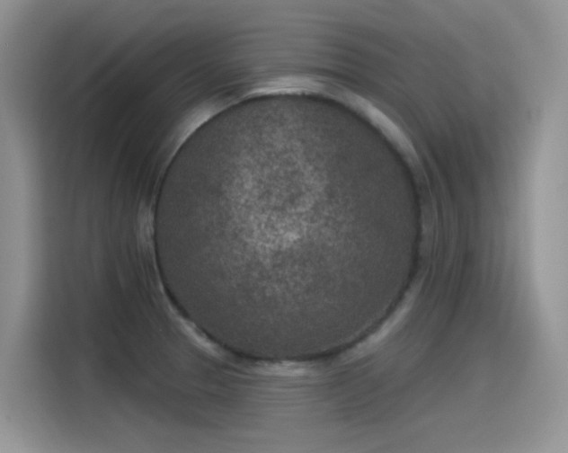 X0000115531329200911131457