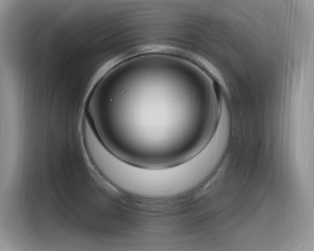 X0000115531330200911131457