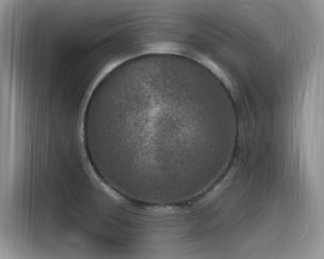 X0000115531331200911131457