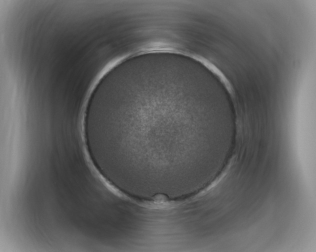 X0000115531333200911131457