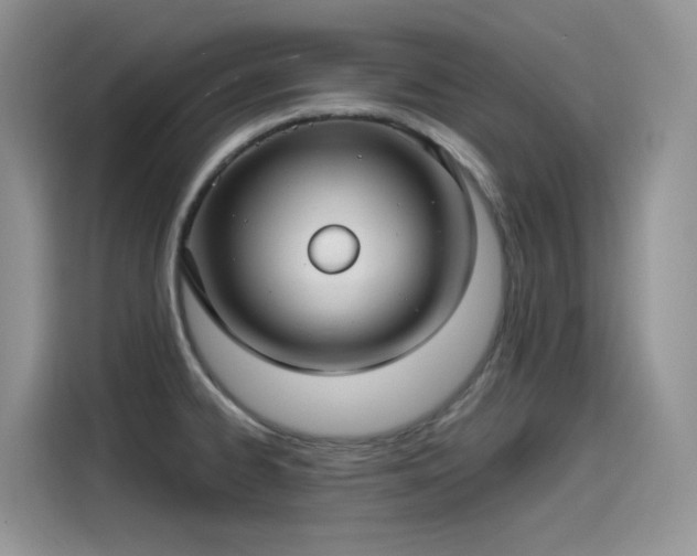 X0000115531334200911131458