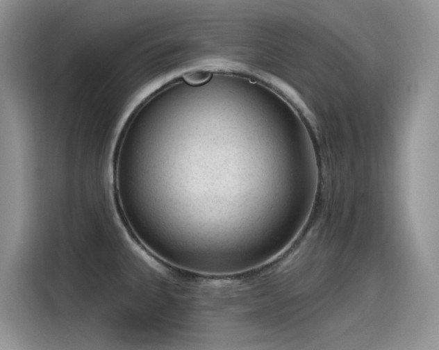 X0000115531335200911131458