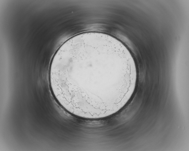 X0000115531338200911131458