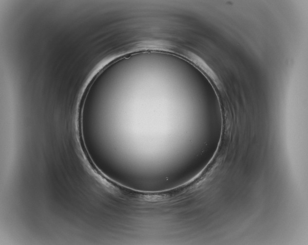 X0000115531339200911131458