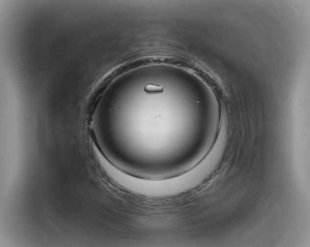 X0000115531352200911131457