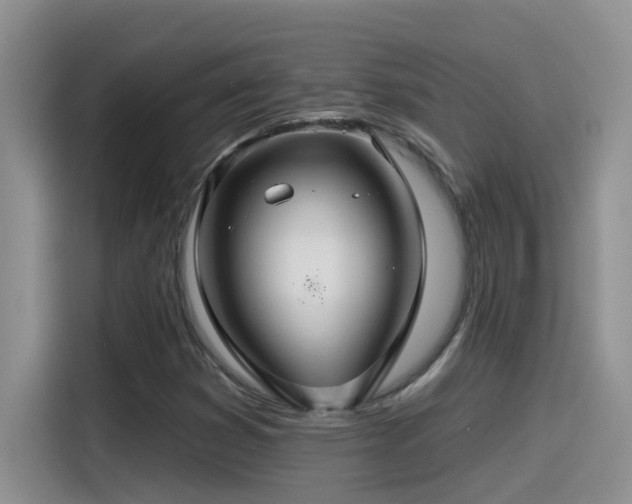 X0000115531353200911131457