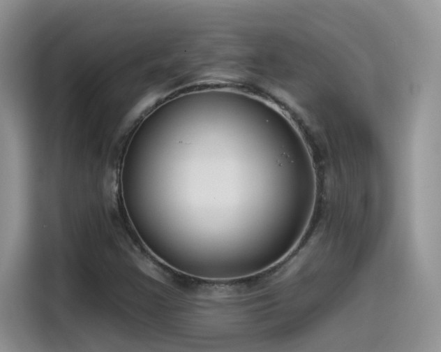 X0000115531355200911131457