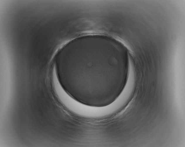 X0000115531357200911131457