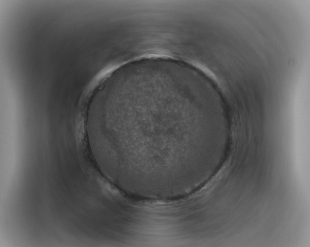 X0000115531359200911131457