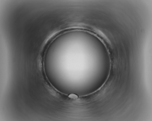 X0000115531360200911131457