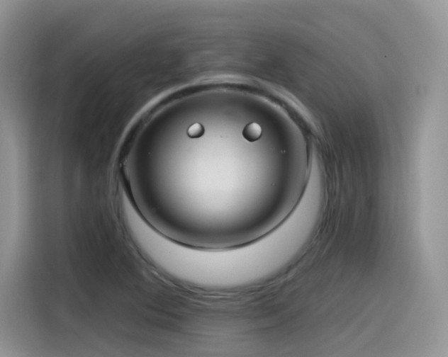 X0000115531364200911131457