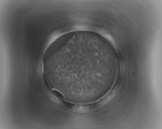 X0000115531365200911131457