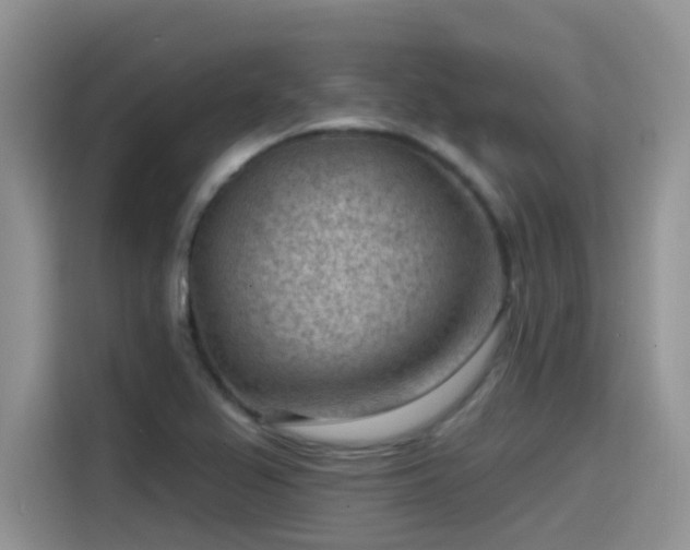 X0000115531367200911131457