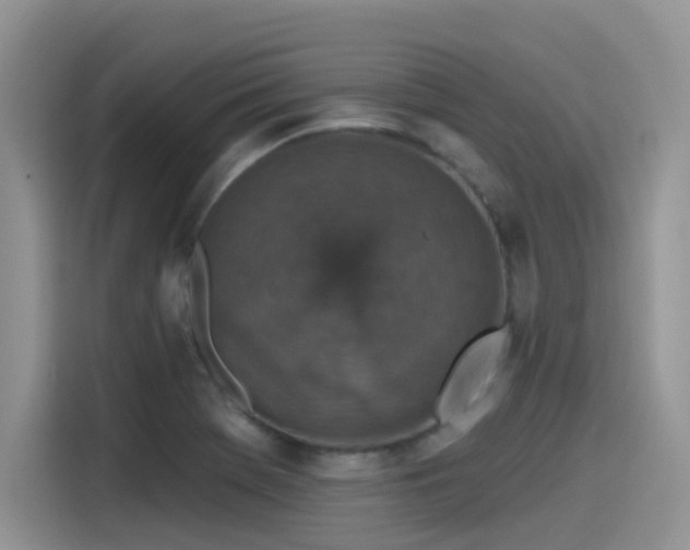 X0000115531369200911131457