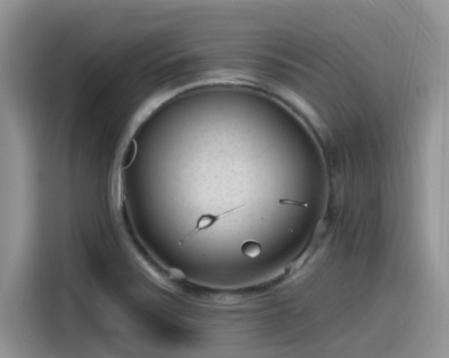 X0000115531371200911131457