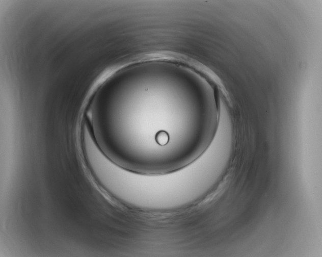 X0000115531373200911131457