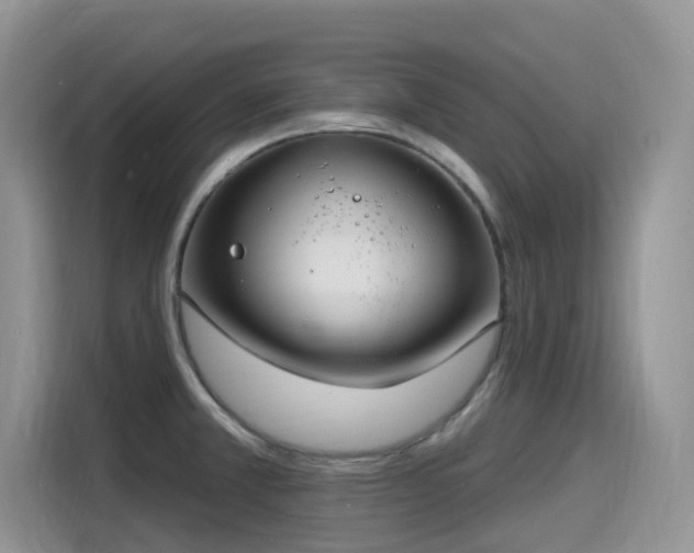 X0000115531381200911131457