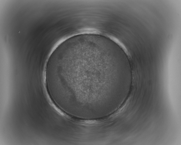 X0000115531383200911131457