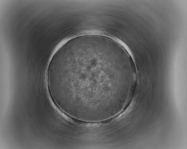 X0000115531389200911131456