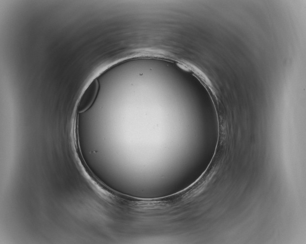 X0000115531391200911131456