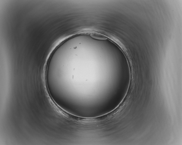 X0000115531392200911131456