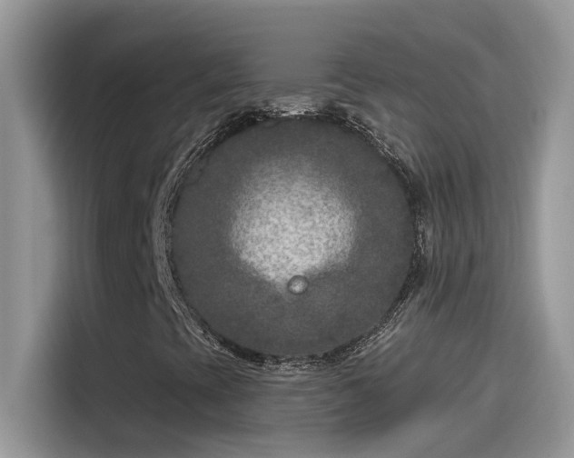 X0000115531393200911131456