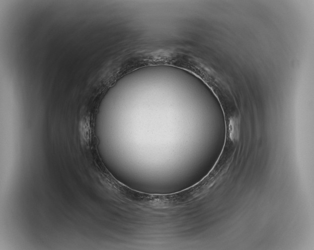 X0000115531395200911131456