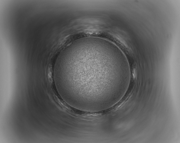 X0000115531396200911131456