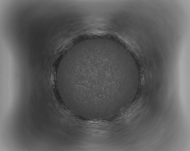 X0000115531397200911131456