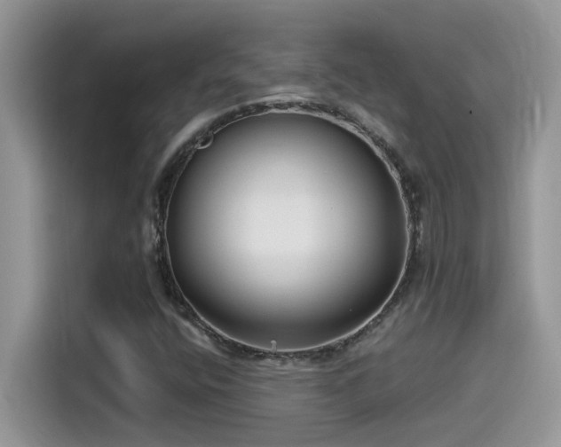 X0000115531400200911131456