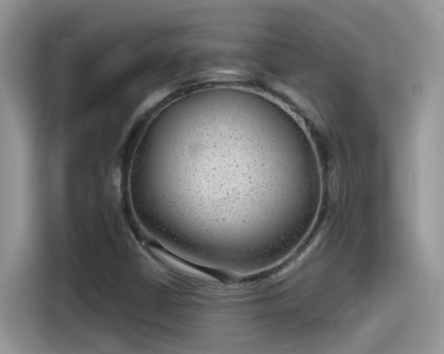 X0000115531402200911131456