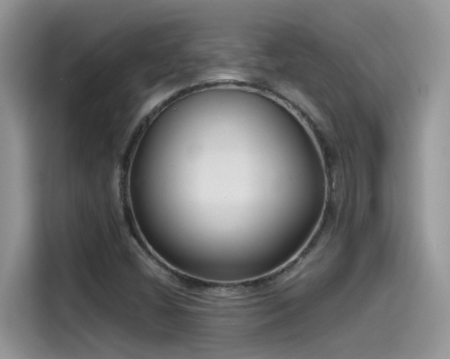 X0000115531404200911131456