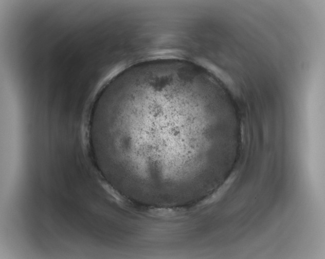 X0000115531405200911131456