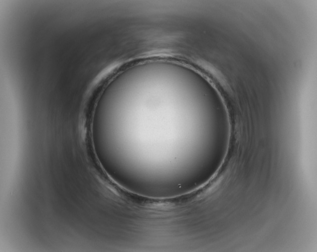 X0000115531406200911131456