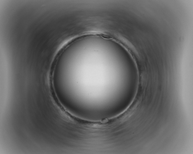 X0000115531412200911131456