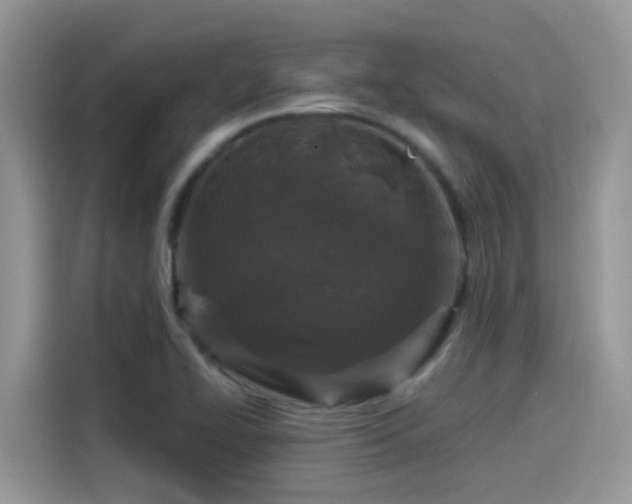 X0000115531414200911131456