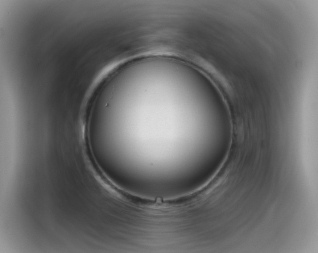 X0000115531416200911131456