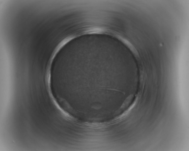 X0000115531418200911131456