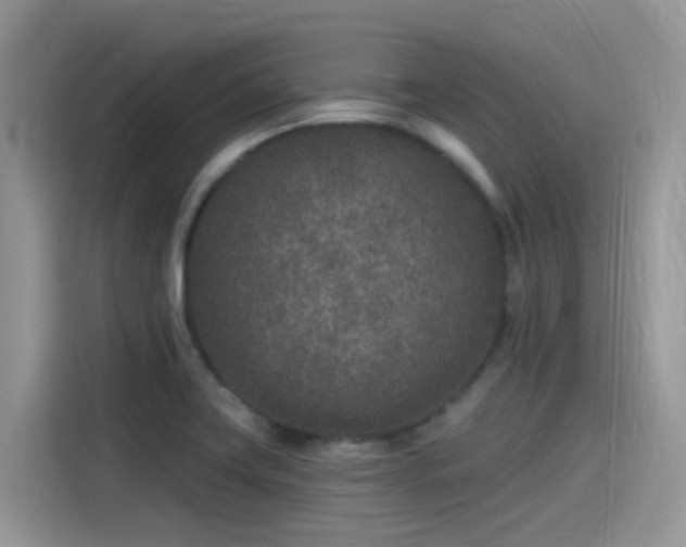 X0000115531419200911131456